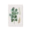 Ensemble de 4 «Earthy Greens in Bloom»-876046556-876046552