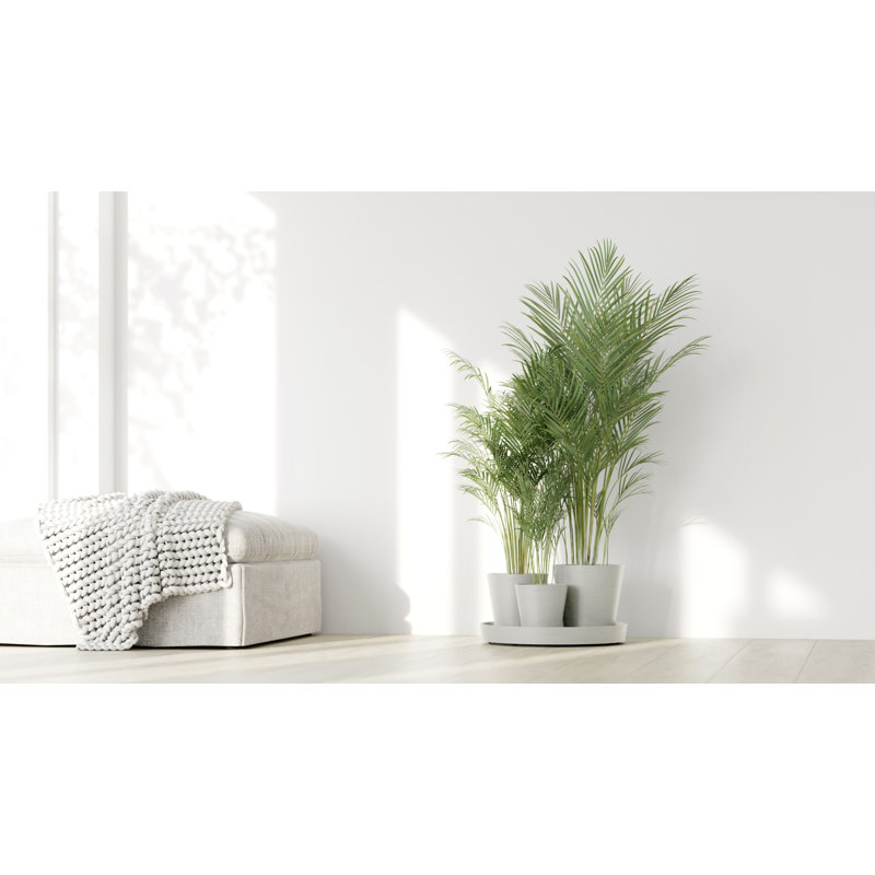 Pot Planter, Pure White