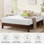 Sleep by Wayfair™ 8"/10"/12" Plush Memory Foam Mattress-1486413415-1569895117