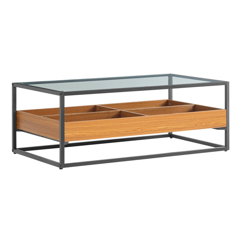 Marialana 2 Tier Glass Top Coffee Table with Storage and Display Cubbies