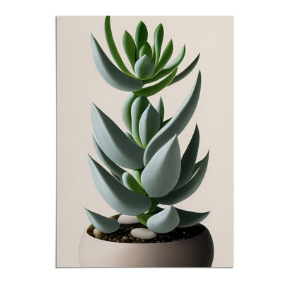 Succulent Plant - Wall Art
