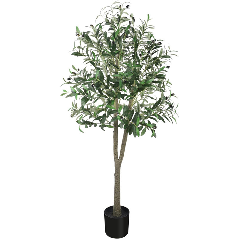 150cm Plant