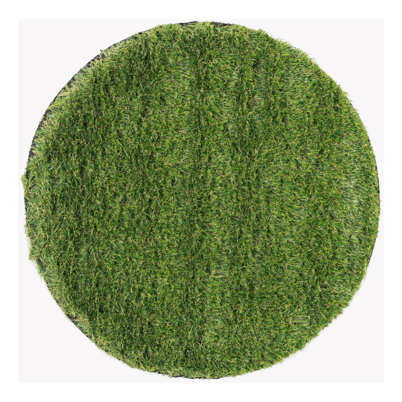 Cathlyn Indoor / Outdoor Rug, Round 2'2"