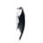 Parrot Corkscrew-1909685