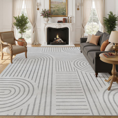 Washable Farmhouse Modern Area Rug Soft Non-Slip Carpet for Bedroom Living Room - Gray