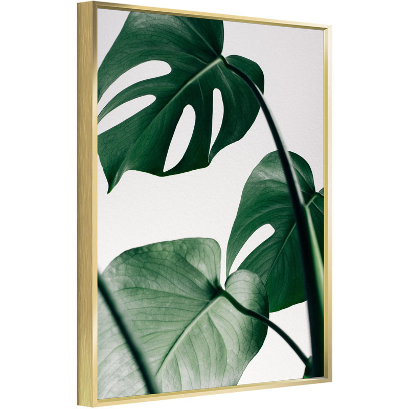 Fleurs - ensemble d'impressions sur toile flottante, H 16 po x l 12 po x P 1,6 po