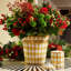 Parterre Scented Jar Candle w/Lid-1409475822