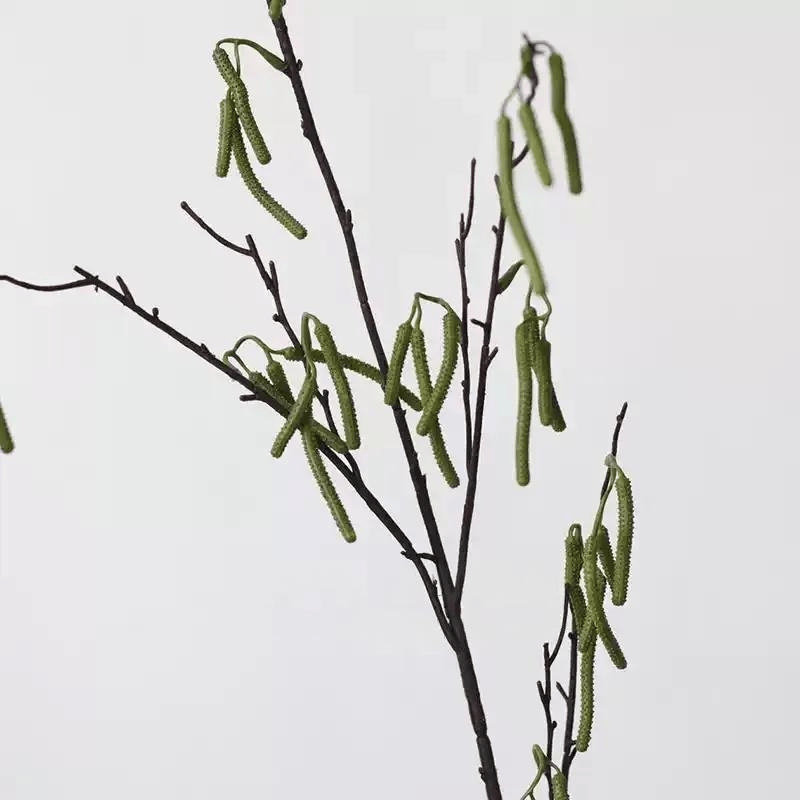 Branche de chat sauvage - 44,5 po, [C] 6 Stems