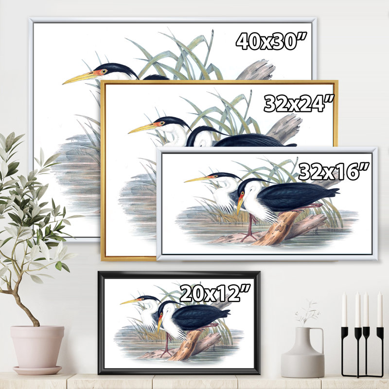 Vie d'oiseau rétro II - peinture sur toile, H 16 po x l 32 po x p 1 po, Cadre flottant blanc