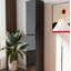 Accent Cabinet-1437840448