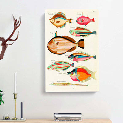 East Indies Fish Illustrations Fol. 4 by Louis Renard - Wrapped Canvas