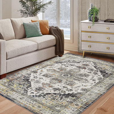 5x7 Area Rug for Living Room, Machine Washable Rug, Stain Resistant Non-Slip Kitchen Rug, Traditional Distressed Accent Rug, Vintage Carpet for Bedroom, Dining Room, Office, Grey