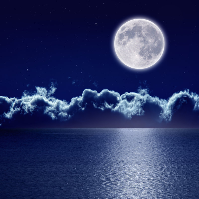 Full Moon - Photographie sur toile tendue, H 36 po x l 36 po