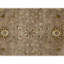 Hand Knotted Wool Oriental Area Rug in Brown And Ivory