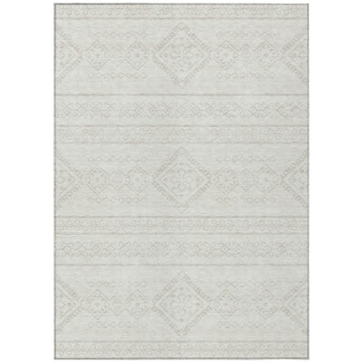 Celeski Southwestern Indoor Rug
