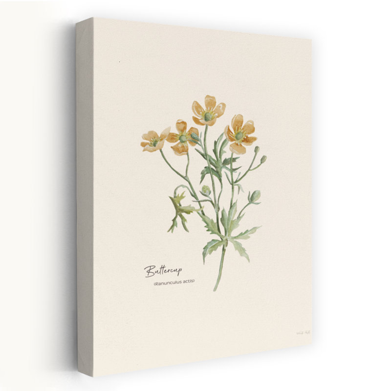 Bouton d'or contemporain, H 48 po x l 32 po