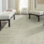 Area Rug in Gray-1704564397