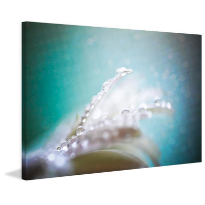 Sylvia Cook - Wrapped Canvas Print