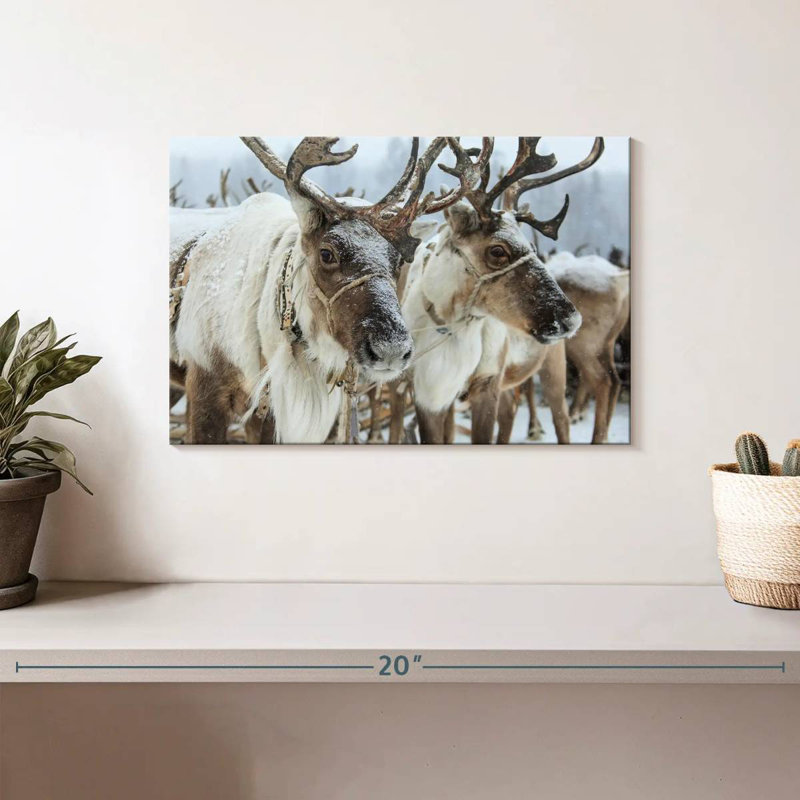Snow Reindeer, 8" H x 12" W