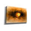 «Seed» par Ata Alishahi-1102308679