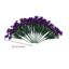 Tiges Delphinium