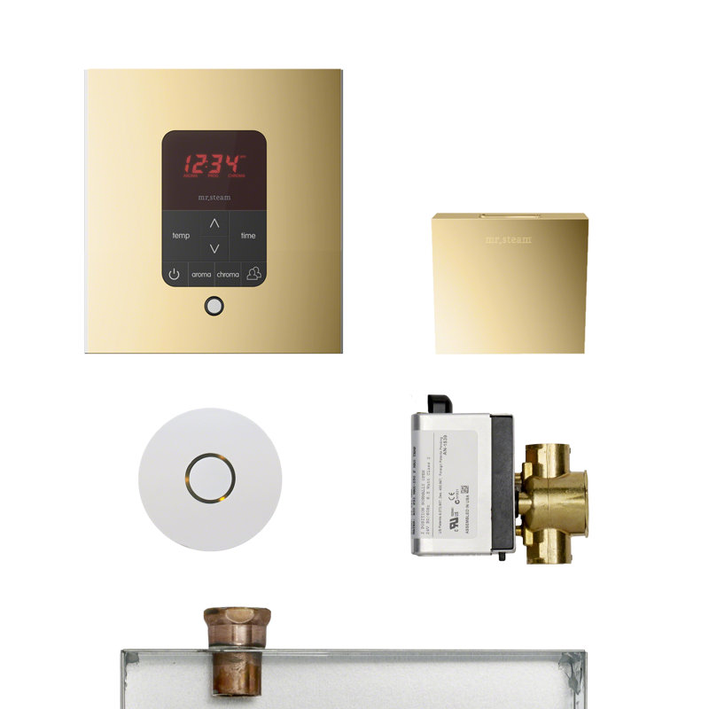 Residential Steam Generator Control, Polished Brass