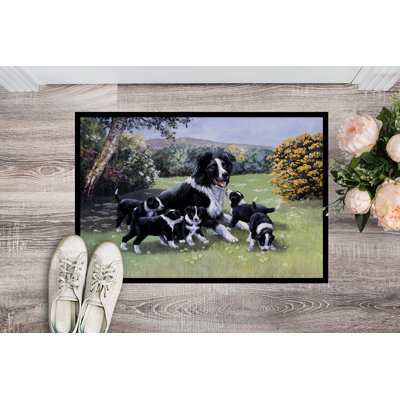 Non-Slip Outdoor Doormat