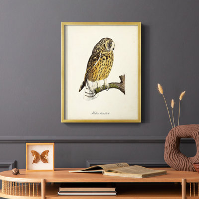 French Owls II, reproduction encadrée - bois massif