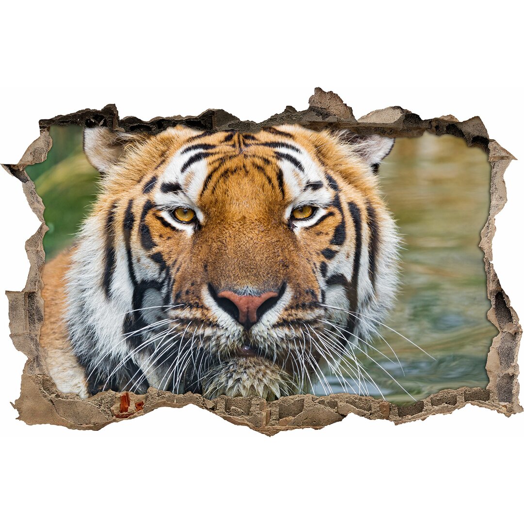 Entspannender Tiger Wandsticker