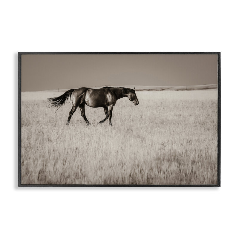 «Dashing Montana Stallion», estampe numérique, design par Christy Berry, H 20 po x l 30 po, Giclée encadrée noir minuit