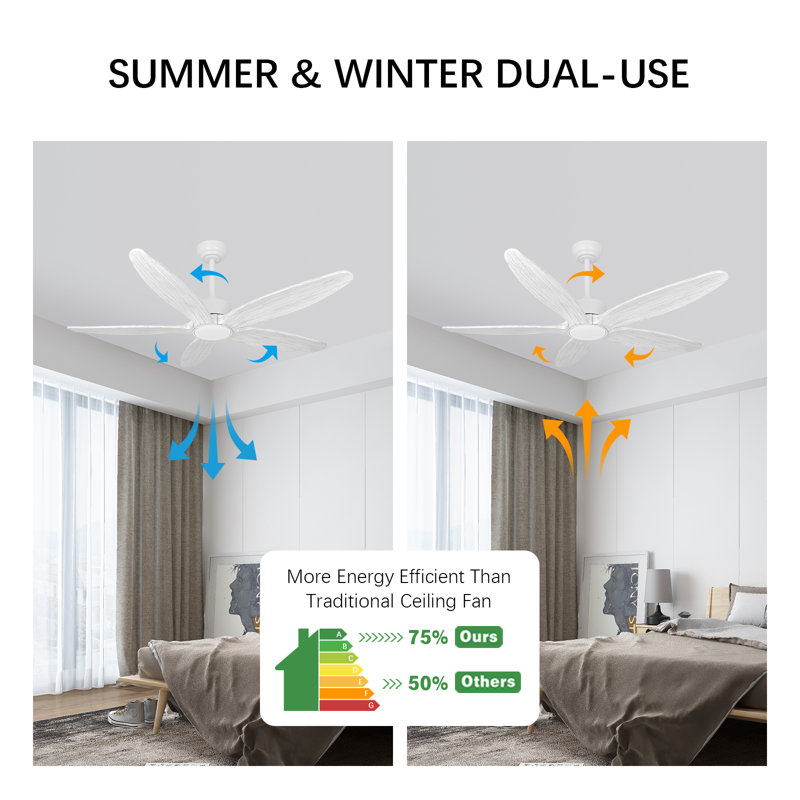 Ceiling Fan54654