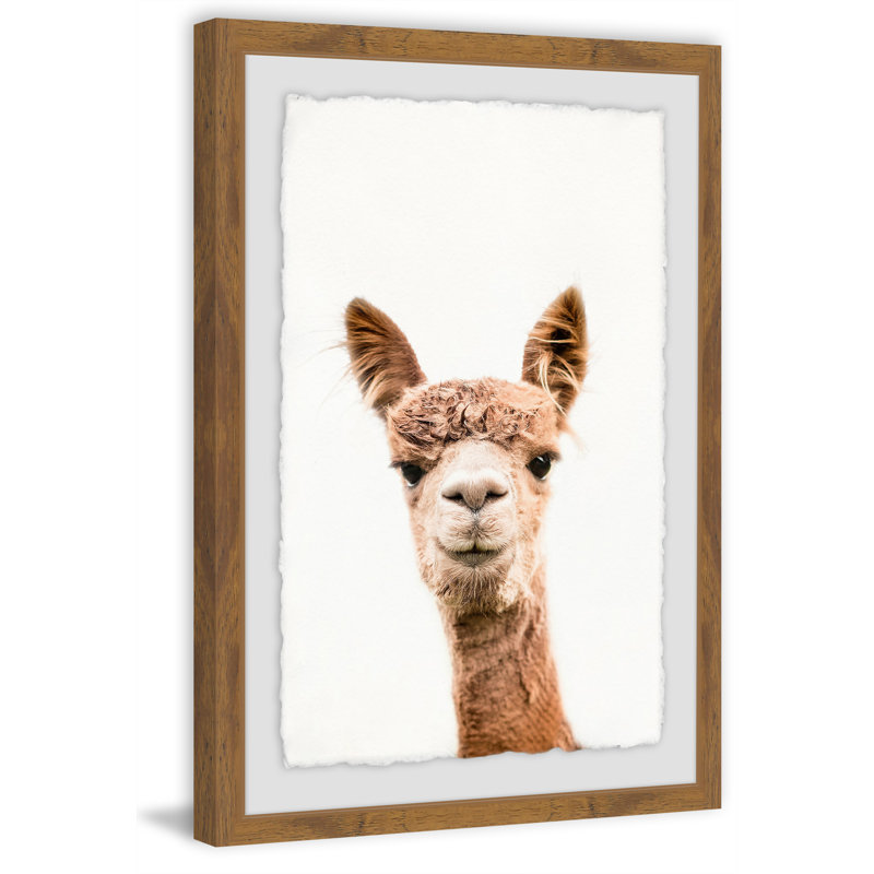 " Llama Face II ", 24" H x 16" W