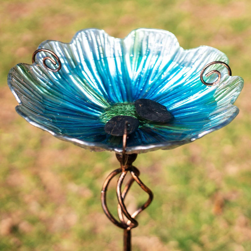 Darrnell Glass Birdbath