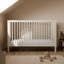Rio 5-in-1 Convertible Crib with Toddler Guardrail-1013702229