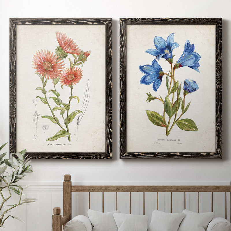 «Botanical I», ensemble de 2 reproductions d'art, Pas de tapis, H 31,5 po x l 47 po x P 1,5 po