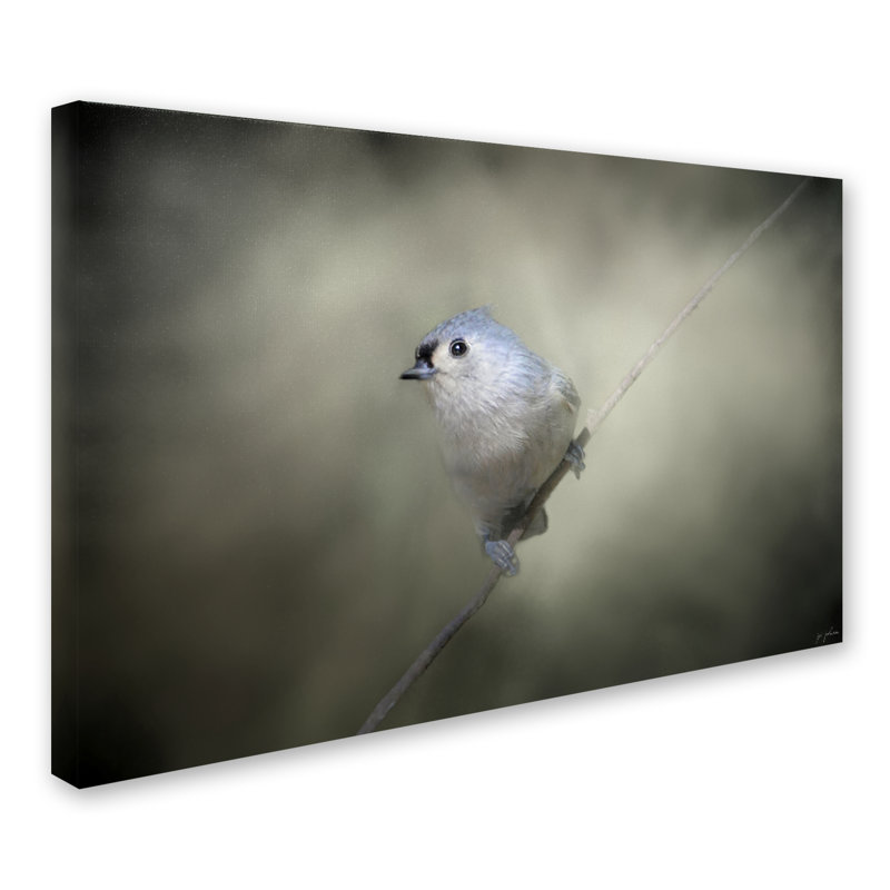 «Little Toufted Titmouse» de Vidur, impression sur toile tendue, H 12 po x l 19 po
