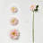 17" Dahlia Set-1319339421