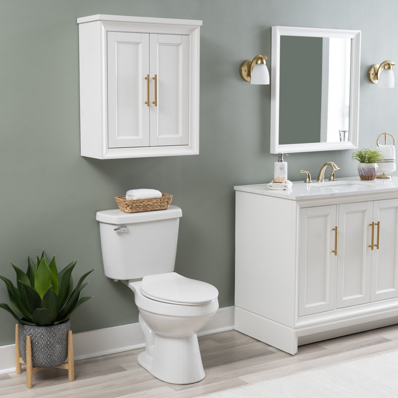 Anaheim 24" W x 28" H x 10" D Wall Mounted Bathroom Cabinet, White