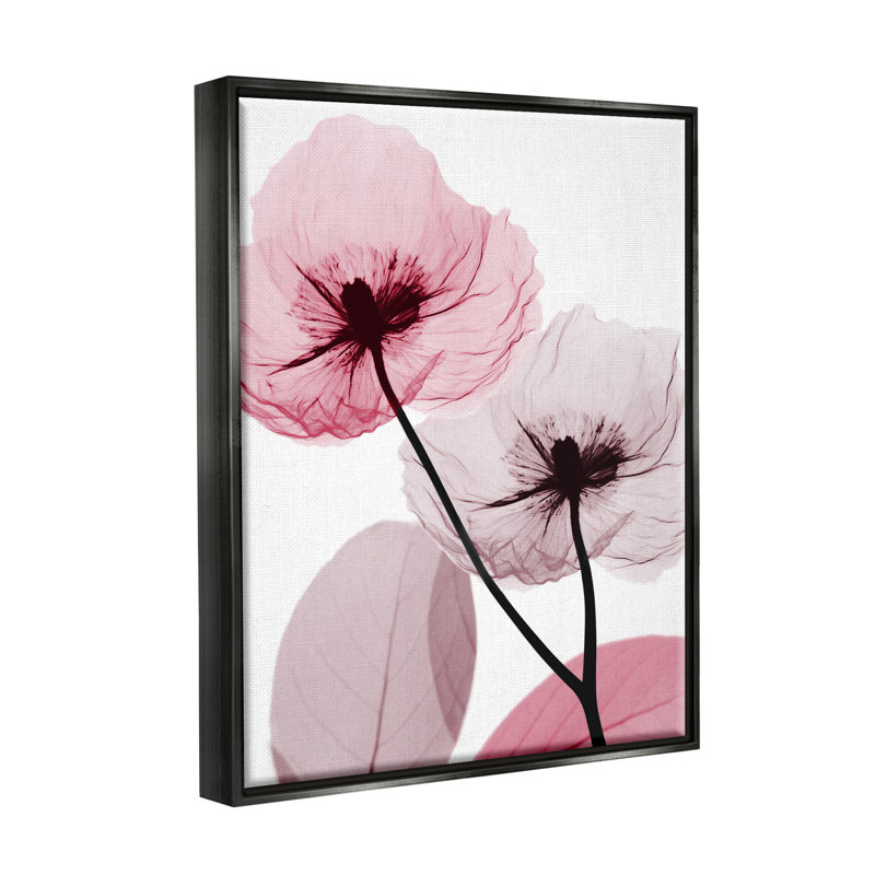 Aw-999-Fleurs de pavot roses encadrées par Albert Koetsier, Cadre flottant noir de jais, H 21 po x l 17 po x P 1,7 po