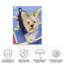 Bolologien Claire sur toile-98081404