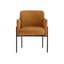 Richie Upholstered Arm Chair