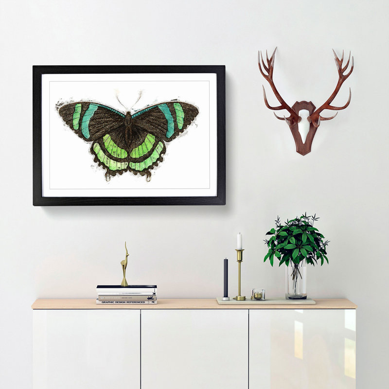 Orontes Butterfly by George Shaw - Picture Frame Painting Print, Black Framed, 27cm H x 36cm W x 2cm D