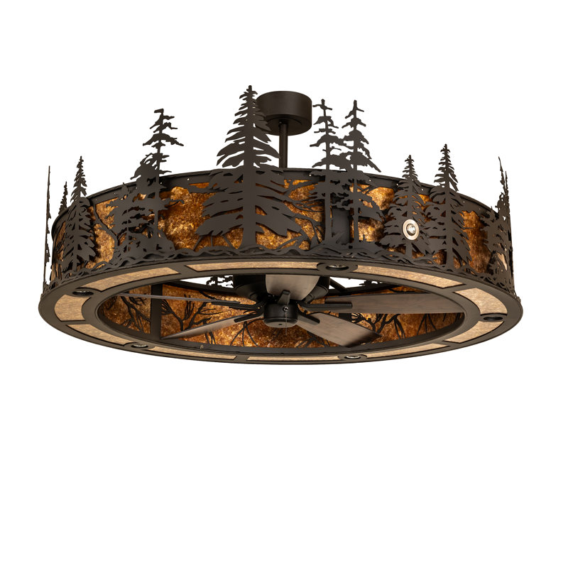 Ceiling Fan