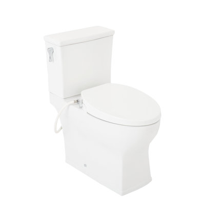 Carraway 1.28 GPF Two Piece Elongated Toilet