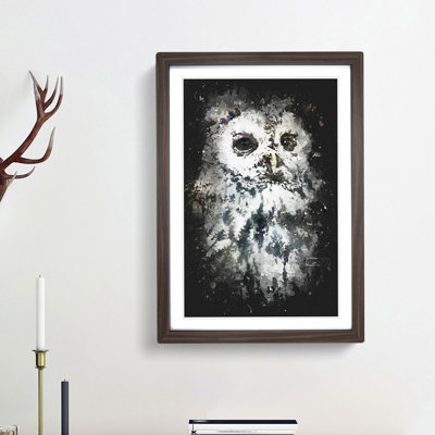 Tawny Owl - Framed Print