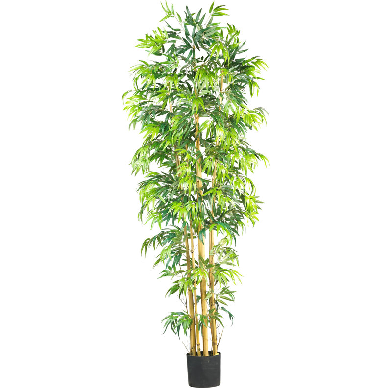 Faux Bamboo Tree in Pot, 84" H x 37" W x 37" D