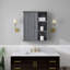Armoire murale 23,6 po