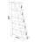 Modern 5 Tier Ladder Bookshelf Organizers, Narrow Bookshelf For Small Spaces Office Furniture Bookcase