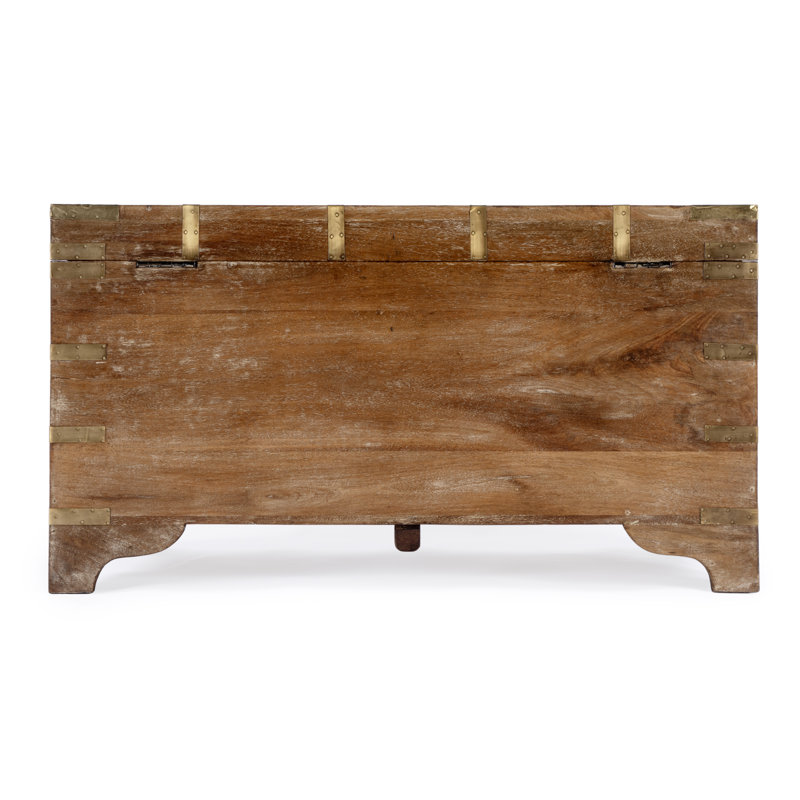 Nador Hand-Painted Brass Inlay Storage Trunk Coffee Table, Light Brown/ Gold