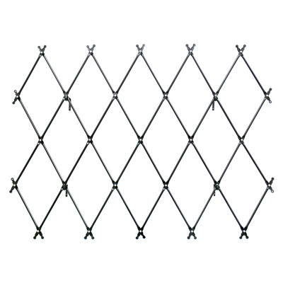Hatwell 43'' H x 67'' W Steel Expanding Trellis